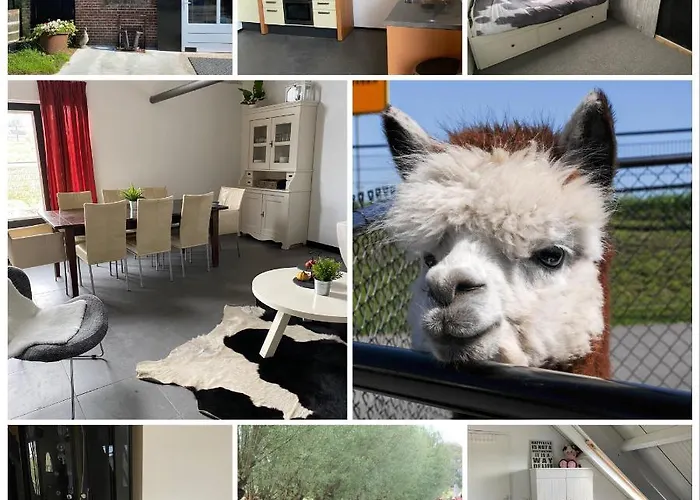 Herberg Boerderij De Straat-Hof Bed & Breakfast Leimuiden photo